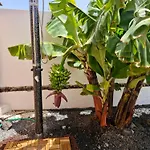 Sunrise Surf House, Big Garden, Hot Tub, Parking, Super-fast Free Wi-fi Corralejo