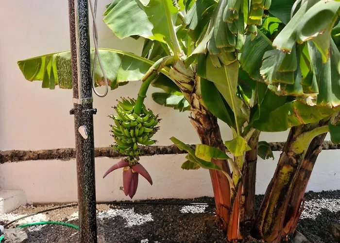 Sunrise Surf House, Big Garden, Hot Tub, Parking, Super-fast Free Wi-fi Corralejo