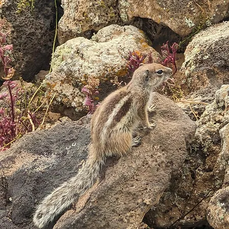 Sunrise Surf House, Big Garden, Hot Tub, Parking, Super-Fast Free Wi-Fi